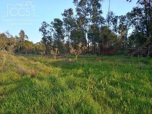 Finca/Casa Rural en venta en Almonte, Huelva