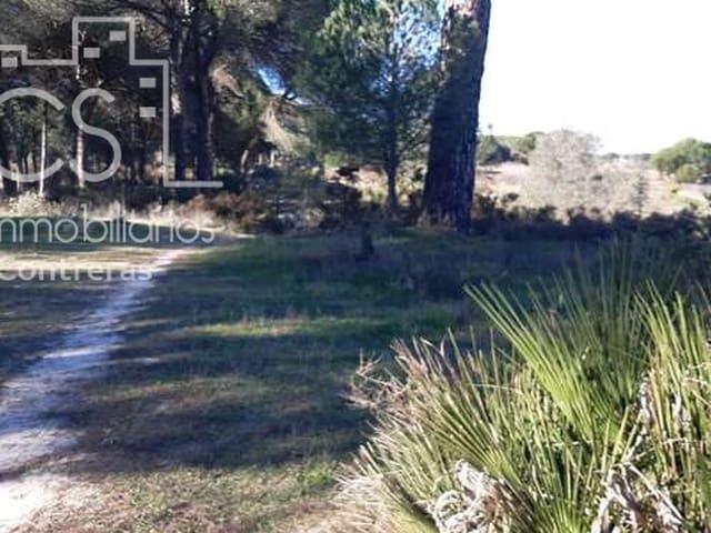 Finca/Casa Rural en venta en Almonte, Huelva