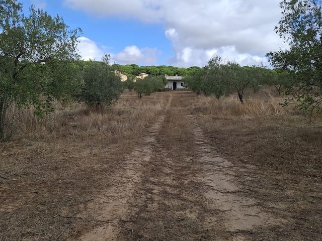 Finca/Casa Rural en venta en Almonte, Huelva