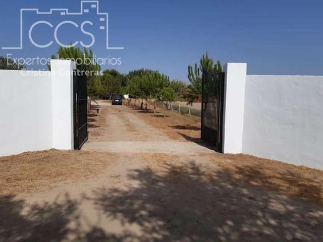 Finca/Casa Rural en venta en Almonte, Huelva