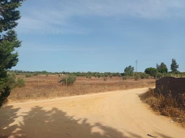 Finca/Casa Rural en venta en Almonte, Huelva