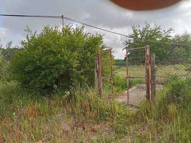 Finca/Casa Rural en venta en Almonte, Huelva