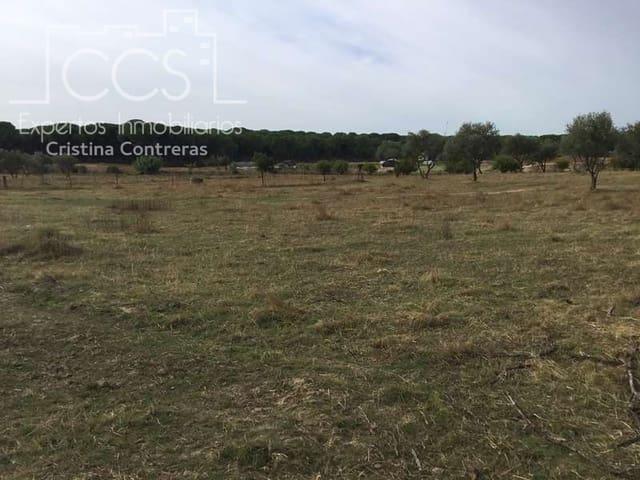 Finca/Casa Rural en venta en Almonte, Huelva