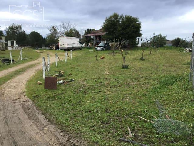 Finca/Casa Rural en venta en Almonte, Huelva