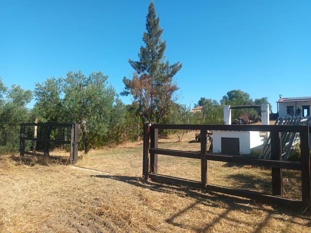 Finca/Casa Rural en venta en Almonte, Huelva
