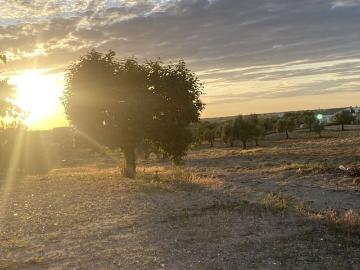Finca/Casa Rural en venta en Almonte, Huelva