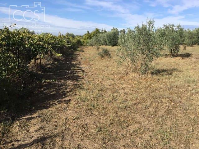 Finca/Casa Rural en venta en Almonte, Huelva
