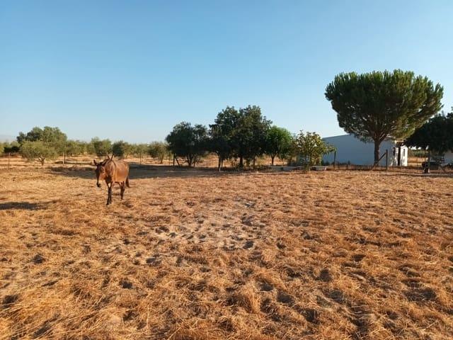 Finca/Casa Rural en venta en Almonte, Huelva