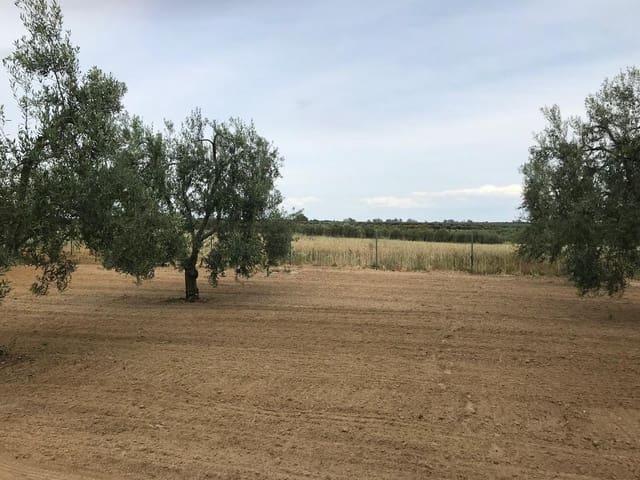 Finca/Casa Rural en venta en Almonte, Huelva