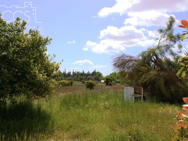 Finca/Casa Rural en venta en Almonte, Huelva