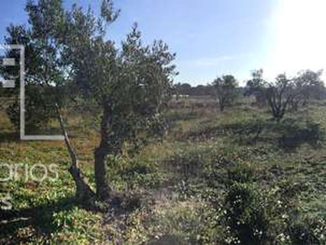 Finca/Casa Rural en venta en Almonte, Huelva