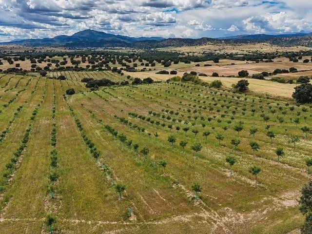 Finca/Casa Rural en venta en Almorox, Toledo