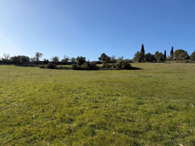 Finca/Casa Rural en venta en Artà, Mallorca