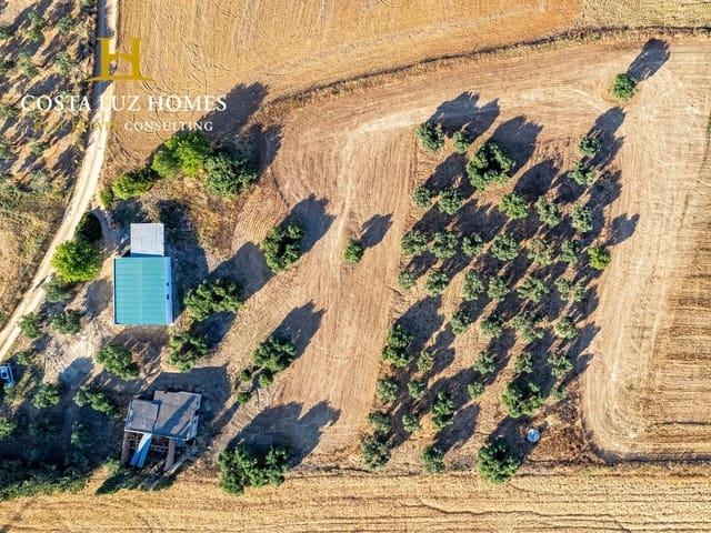 Finca/Casa Rural en venta en Arcos de la Frontera, Cádiz