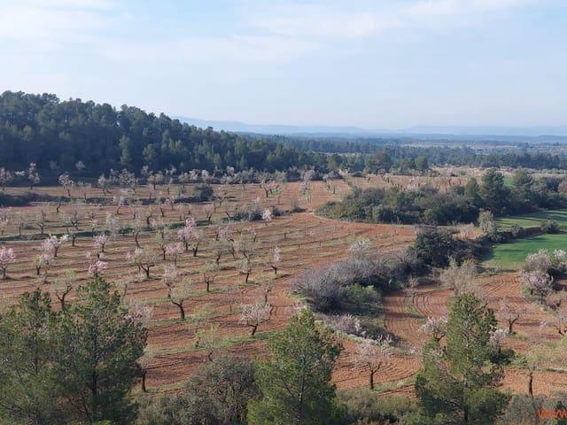 Finca/Casa Rural en venta en Arens de Lledó, Teruel
