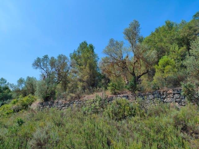 Finca/Casa Rural en venta en Arens de Lledó, Teruel
