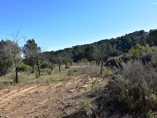 Finca/Casa Rural en venta en Arens de Lledó, Teruel