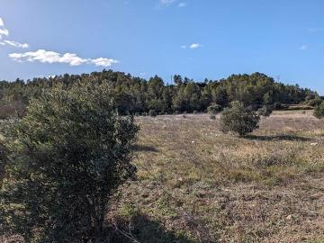Arens de Lledó, Aragón
