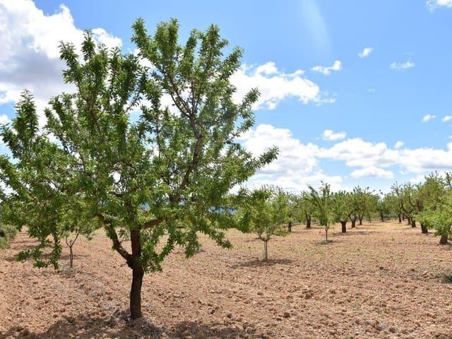 Finca/Casa Rural en venta en Arens de Lledó, Teruel