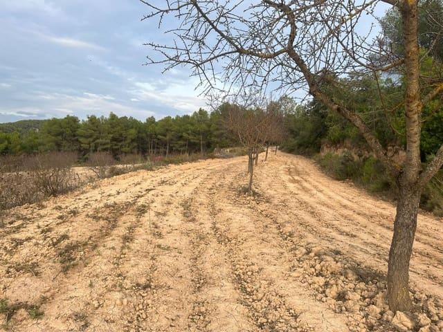 Finca/Casa Rural en venta en Arens de Lledó, Teruel