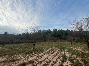 Arens de Lledó, Aragón