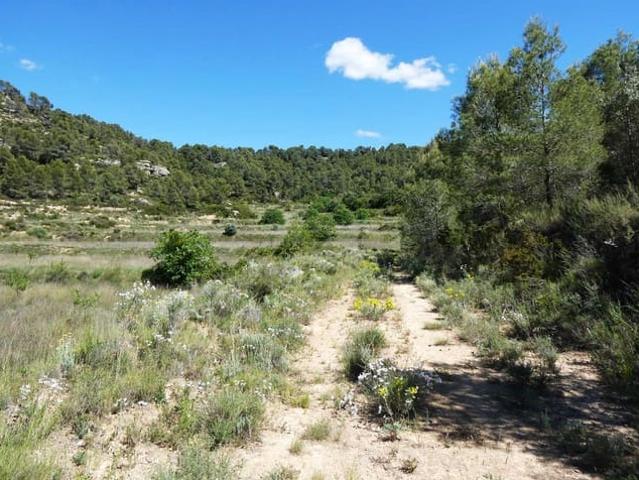 Finca/Casa Rural en venta en Arens de Lledó, Teruel