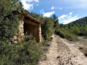 Arens de Lledó, Aragón