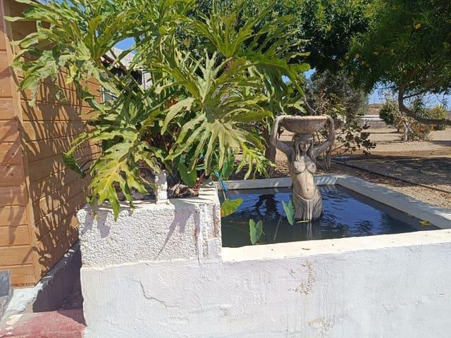Finca/Casa Rural en venta en Arico, Tenerife
