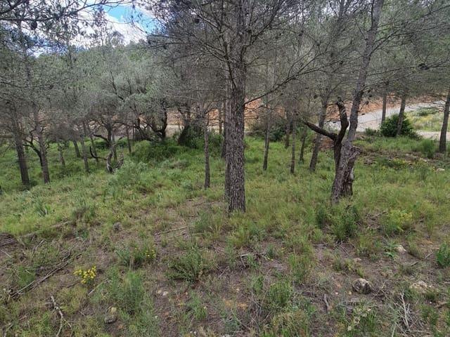 Finca/Casa Rural en venta en Ascó, Tarragona