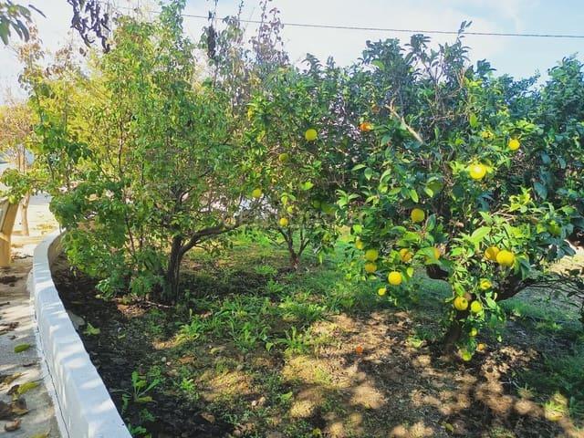 Finca/Casa Rural en venta en Aspe, Alicante