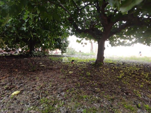 Finca/Casa Rural en venta en Aspe, Alicante