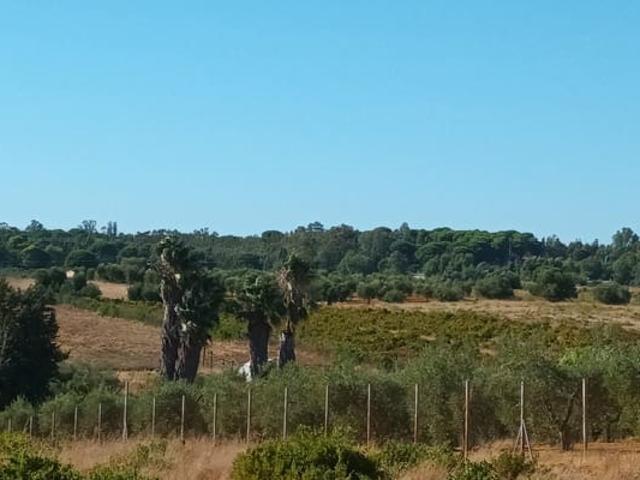 Finca/Casa Rural en venta en Bollullos Par del Condado, Huelva