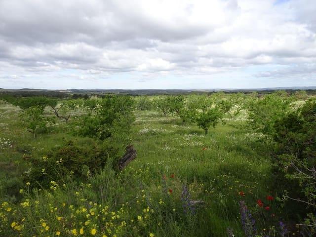 Finca/Casa Rural en venta en Batea, Tarragona