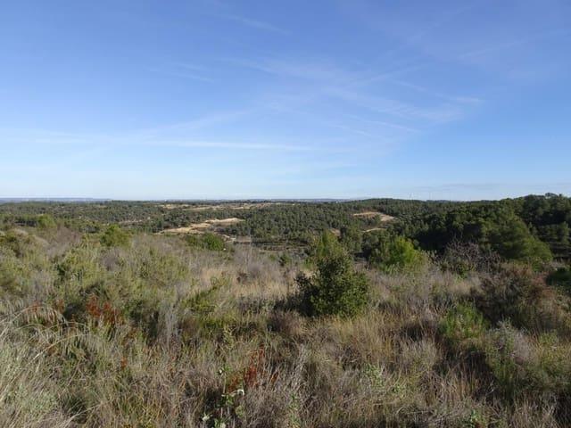 Finca/Casa Rural en venta en Batea, Tarragona