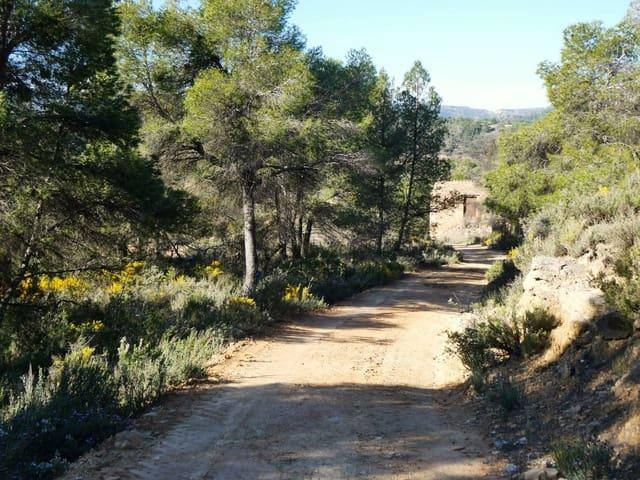 Finca/Casa Rural en venta en Batea, Tarragona