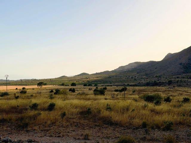 Finca/Casa Rural en venta en Barbarroja, Alicante
