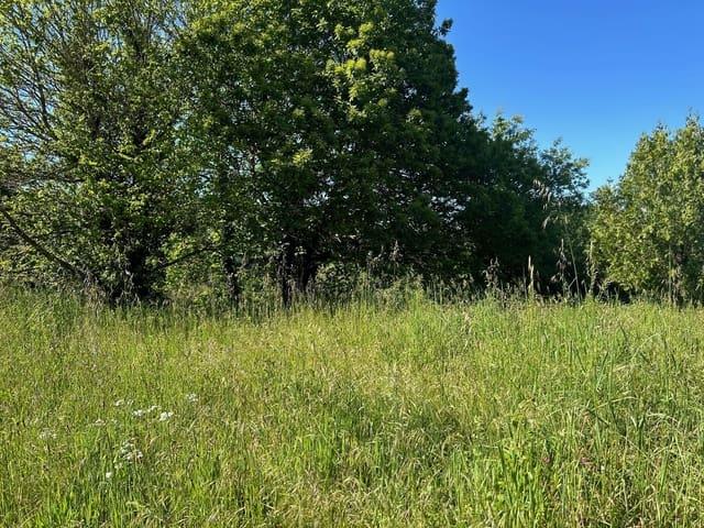 Finca/Casa Rural en venta en Baños de Molgas, Orense