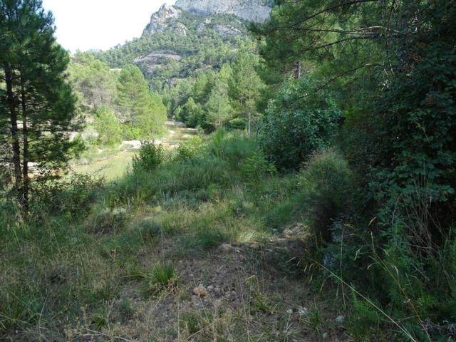 Finca/Casa Rural en venta en Beceite, Teruel