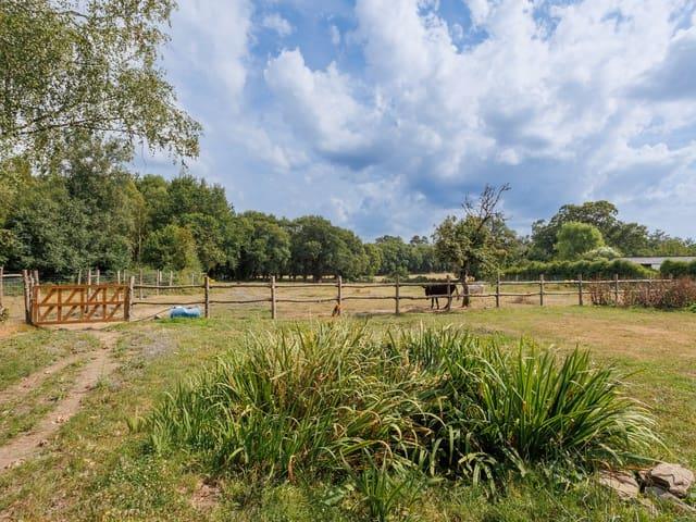 Finca/Casa Rural en venta en Begonte, Lugo
