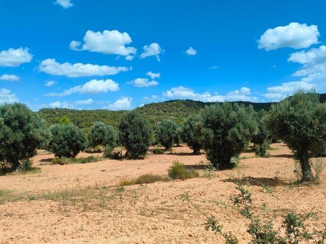 Finca/Casa Rural en venta en Belmonte de San José, Teruel