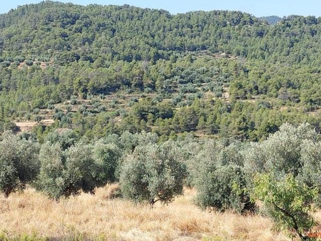 Finca/Casa Rural en venta en Belmonte de San José, Teruel
