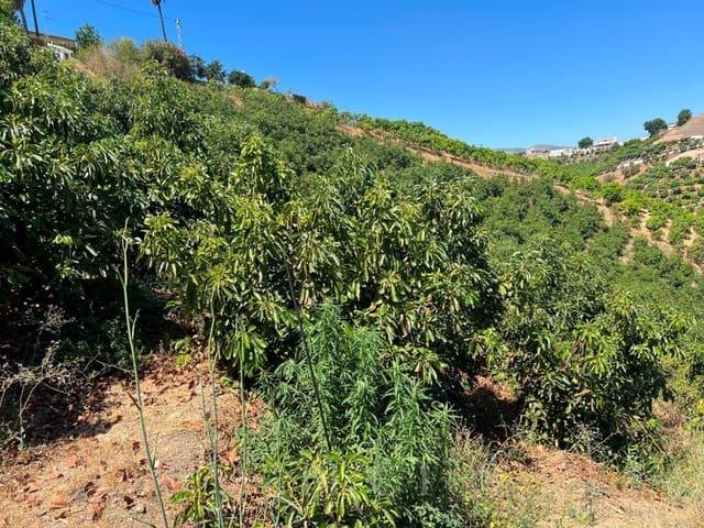 Finca/Casa Rural en venta en Benamocarra, Málaga Costa del Sol