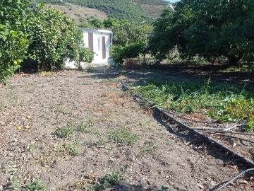 Finca/Casa Rural en venta en Benamocarra, Málaga Costa del Sol
