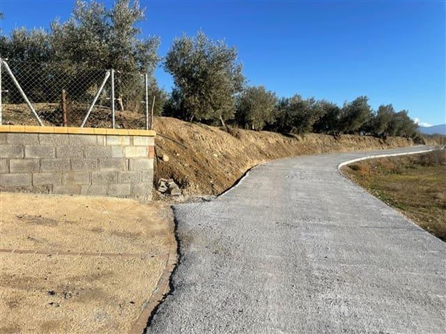 Finca/Casa Rural en venta en Benalúa de Guadix, Granada