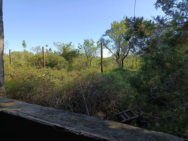 Finca/Casa Rural en venta en Benicarló, Castellón Costa Azahar