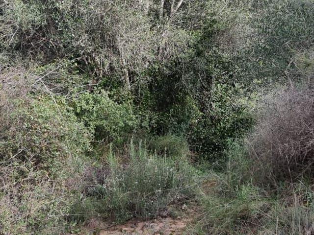 Finca/Casa Rural en venta en Benifallet, Tarragona