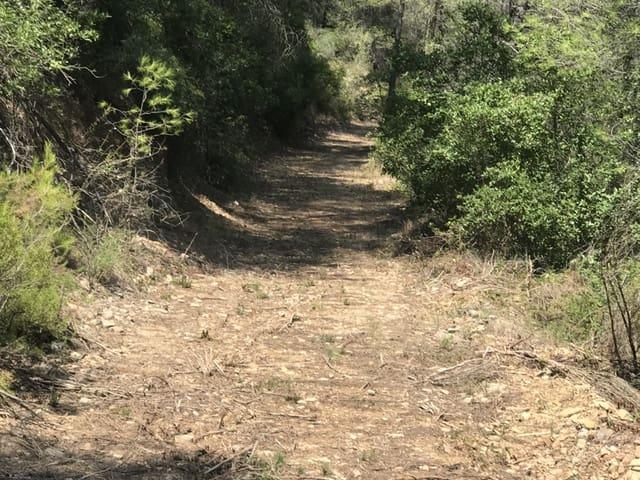Finca/Casa Rural en venta en Benifallet, Tarragona