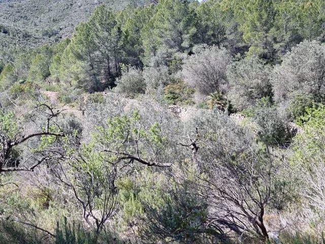 Finca/Casa Rural en venta en Benifallet, Tarragona