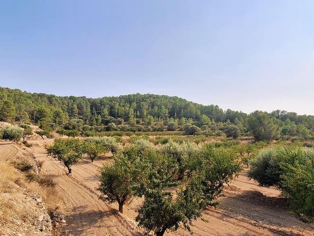 Finca/Casa Rural en venta en Benissanet, Tarragona