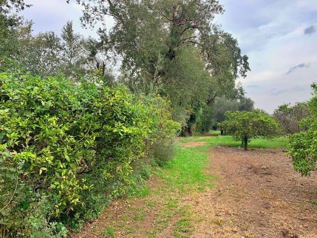 Finca/Casa Rural en venta en Bitem, Tarragona